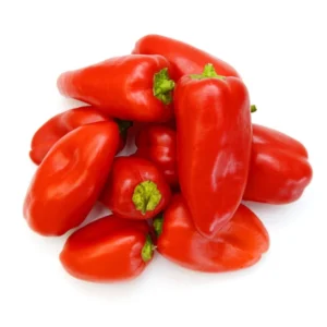 Capsicum Pot Pepper Snack Red 15cm Pot