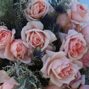 Relais & Chateaux Rose 5lt
