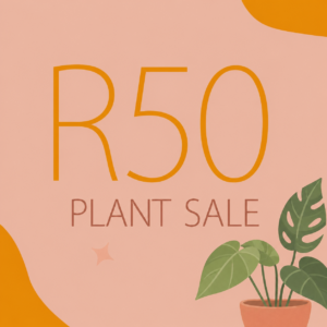 R50 plant sale at ClicknPlant featuring affordable indoor and outdoor plants with a modern promotional design.