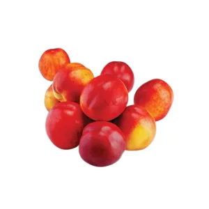 Nectarine Alpine Tree 10lt