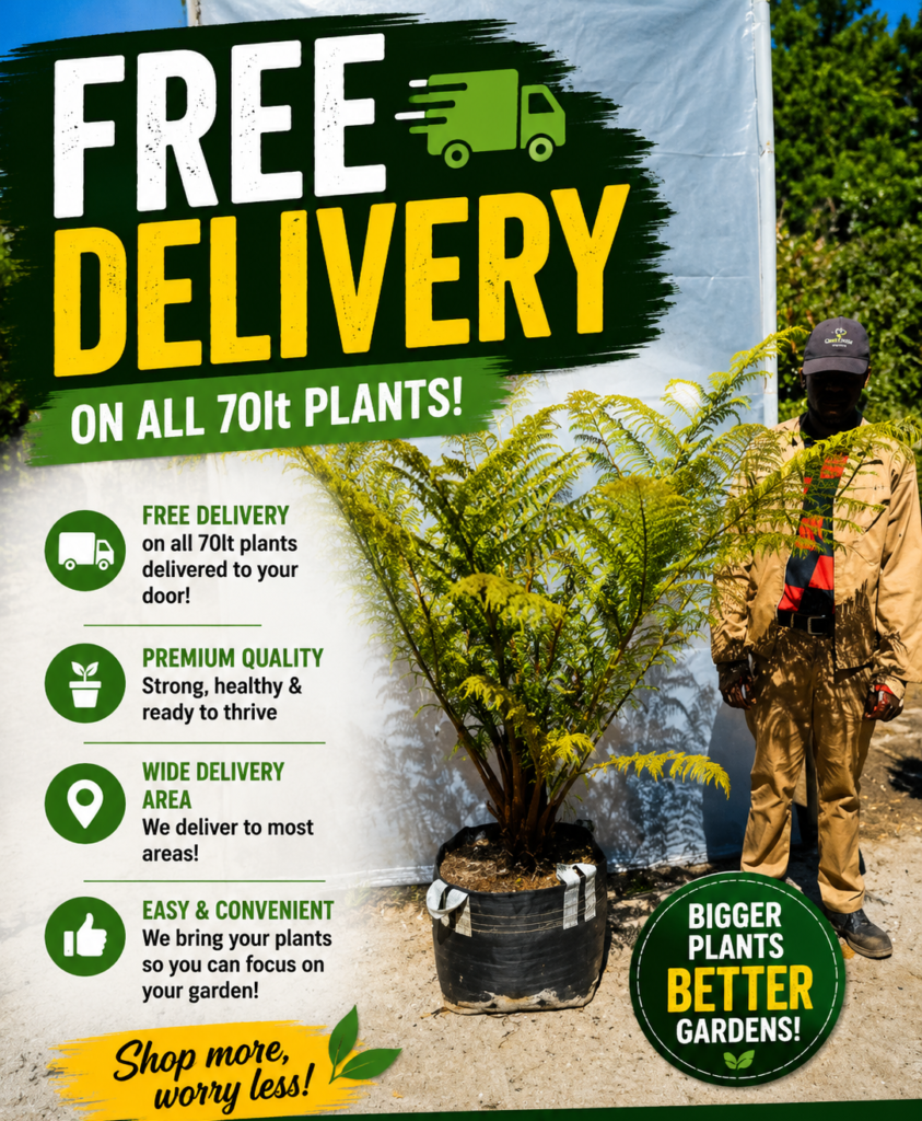 Free Delivery on 70lt Plants